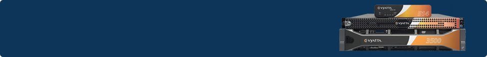 ss_banner_vyatta вятта знамя