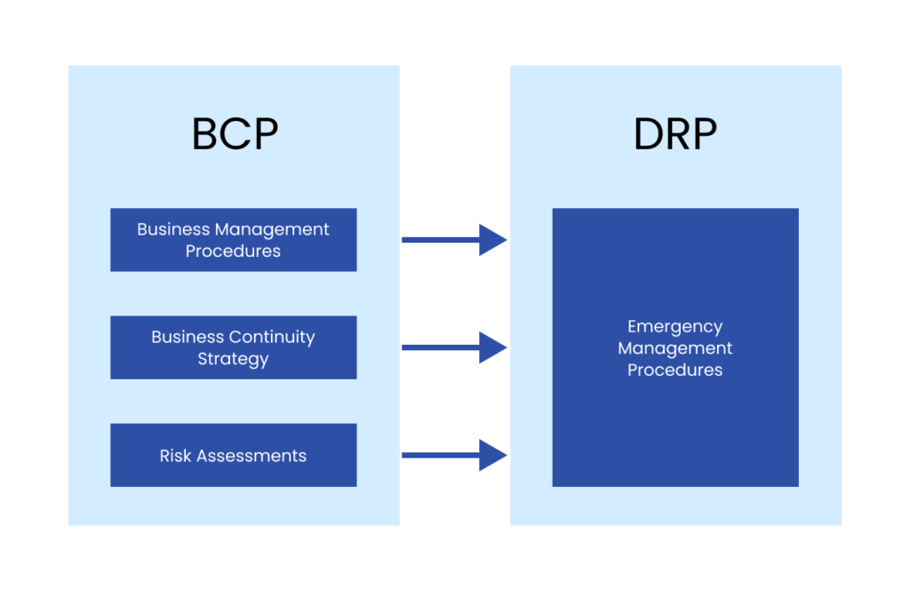 Корреляция между BCP и DRP | Зманда